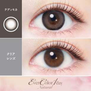 EverColor1day – Natural Teddy Mocha 日拋 每盒20片